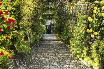 1-Gate-to-Ristorante_1